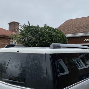 Bodine's Tree Farm - All netted up for roof transit - Christmas Trees Near Me - Canandaigua, New York