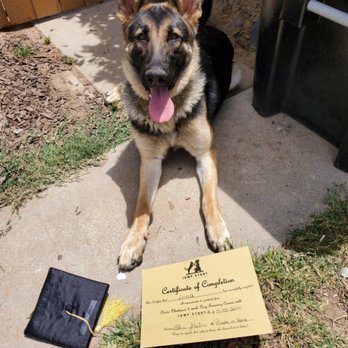 Jump Start Dog Training - Luna graduated today! - Pet Training Near Me - Louisville, Kentucky