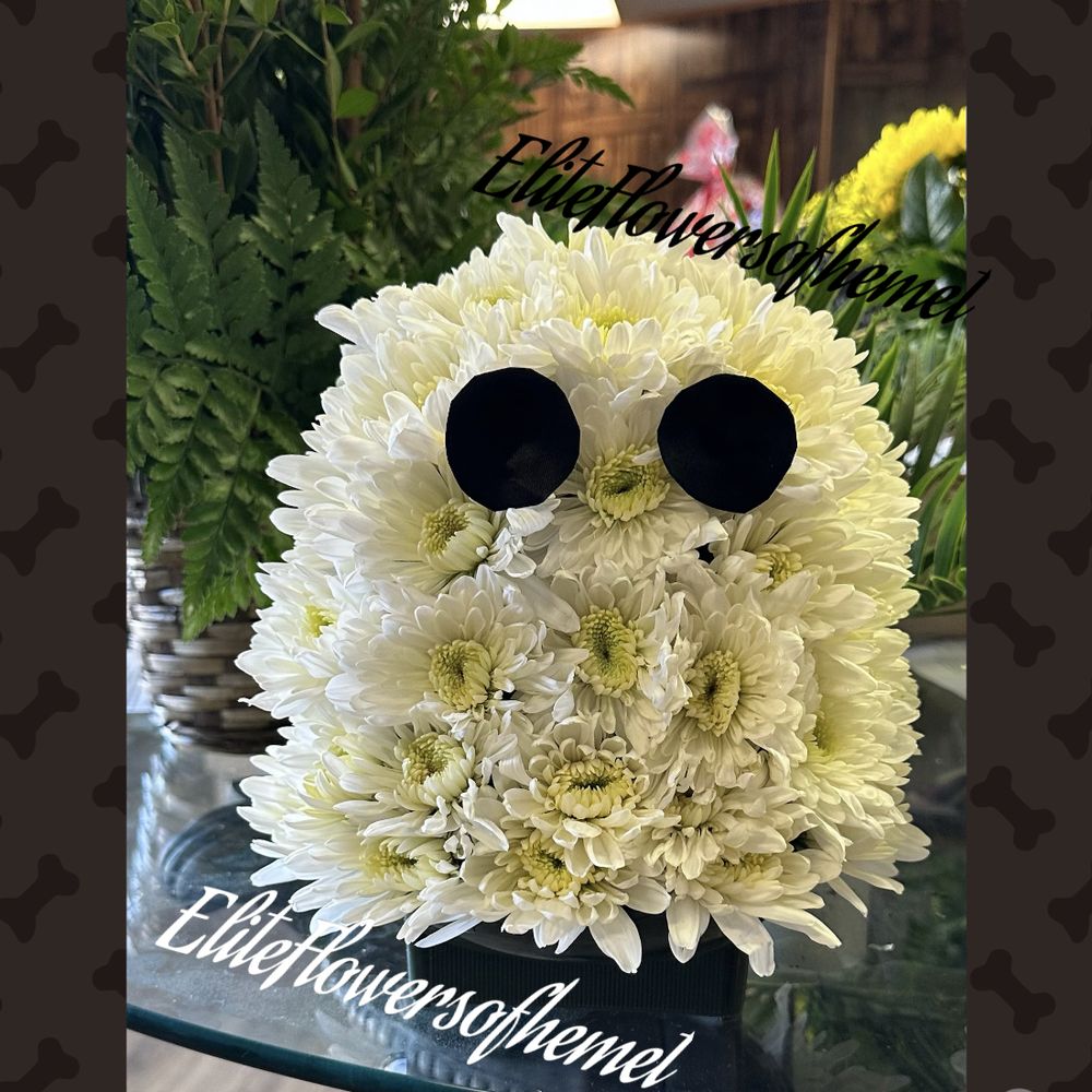 Flowers In Hemet Ca Best Flower Site