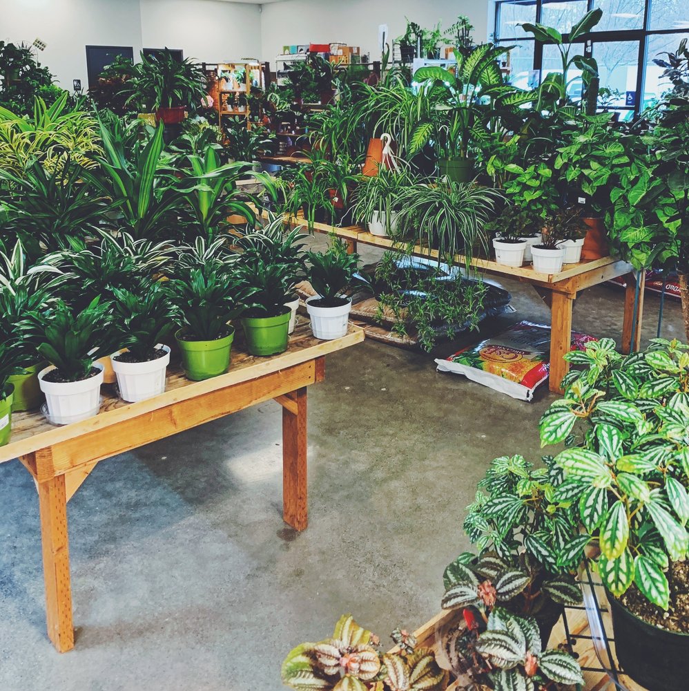 Houseplants Galore Nurseries & Gardening 15 SW Everett Mall Way