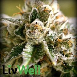 LivWell Dispensary