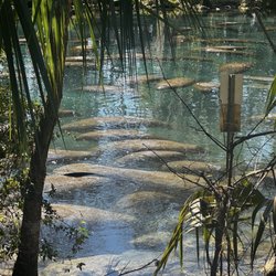 Three Sisters Springs
