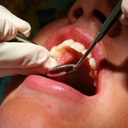 Richard A Barkin, DDS