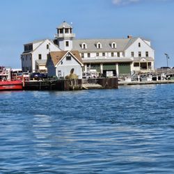 Shoreline Sightseeing
