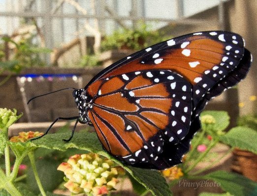 River Bend Nature Center by null
