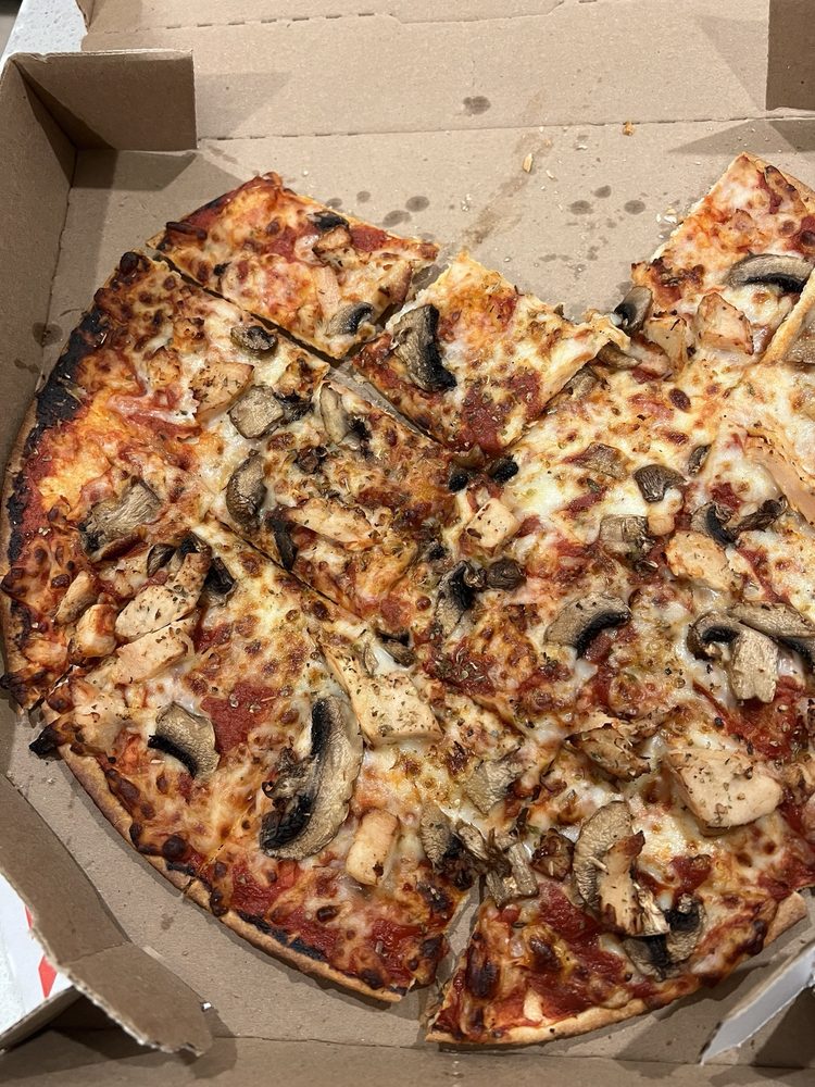 Domino's Pizza Logo