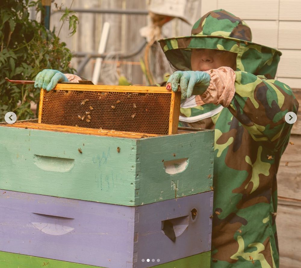 Golden Healer Honey - beekeeping in San Francisco, CA