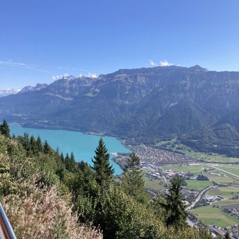Harder Kulm - Hiking Near Me