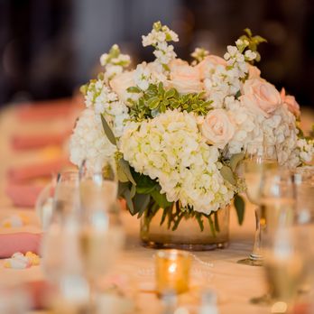 ISO Frame Studio - Event Photography Near Me