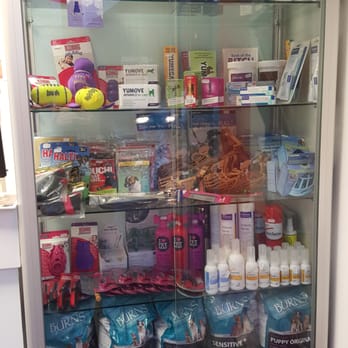 Hyndland Street Veterinary Surgery - Veterinarians Near Me - Glasgow, GLG Hyndland Street Veterinary Surgery - Veterinarians Near Me - Glasgow, GLG