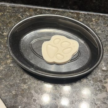Great Wolf Lodge - Soap with paw - Resorts Near Me - Scotrun, Pennsylvania
