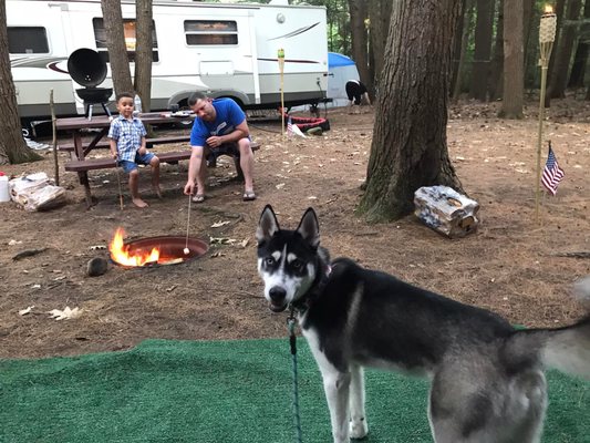 Lake George / Saratoga KOA Journey by null