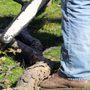 Photo of Affordable Tree Service