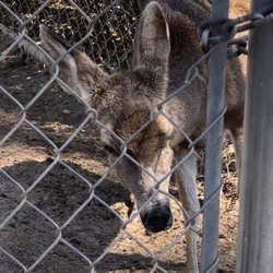 San Dimas Canyon Nature Center