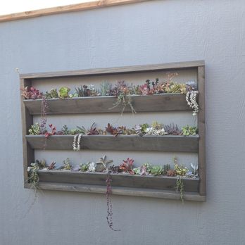 Ignite Coffee - Outdoor ambience - Coffee & Tea Near Me - Oceanside, California