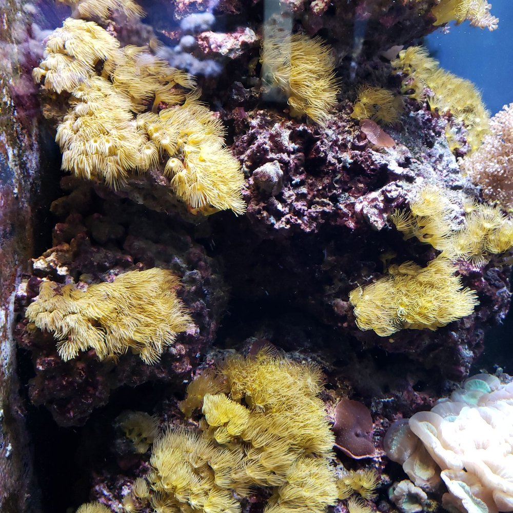 Aquarium Berlin - Aquariums Near Me - Berlin, BE Aquarium Berlin - Aquariums Near Me - Berlin, BE
