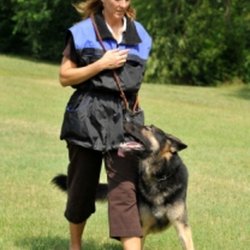Citizen K9 Dog Training and Agility