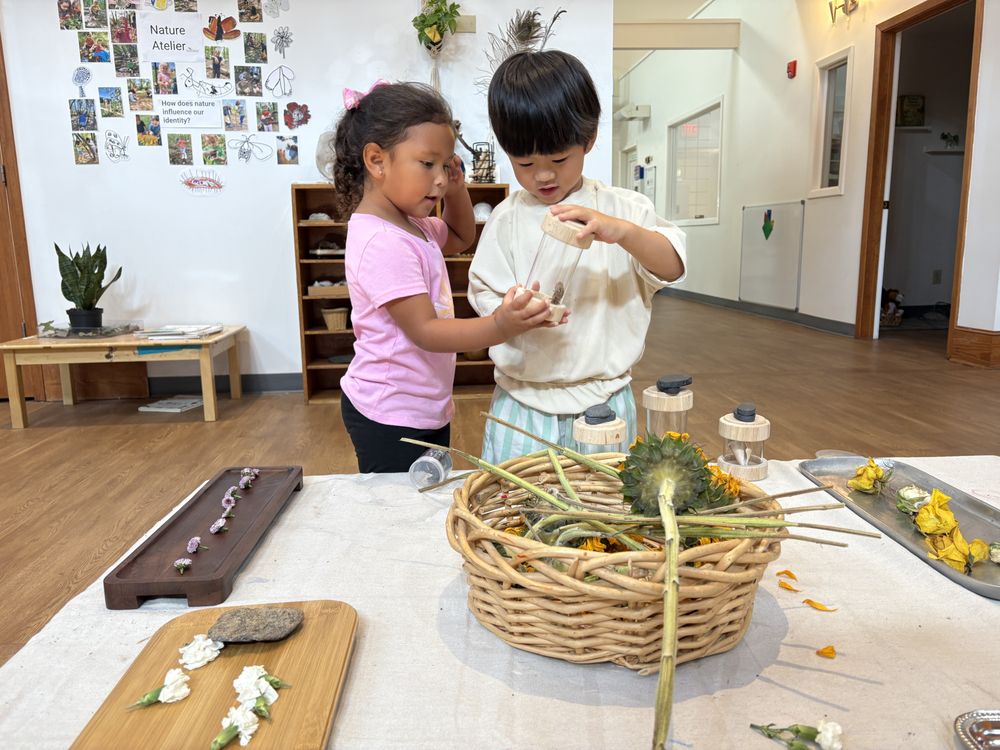 KLA Schools of Huntsville - childcare center in Huntsville, AL