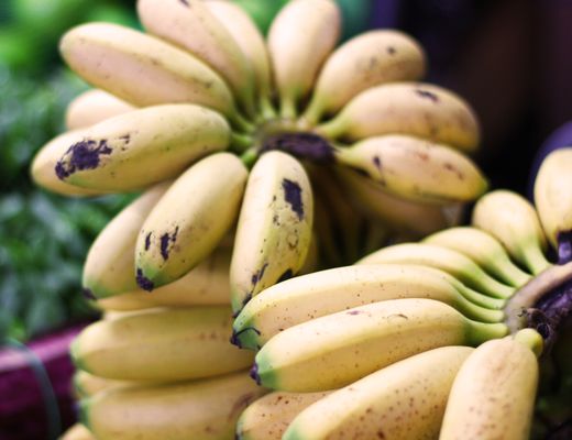 Canino Produce by null