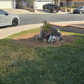 A's Tree Service - The palm tree is gone! we left a few lava rocks there... - Tree Services Near Me - Placentia, California