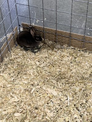 Michigan State Fair by null