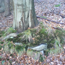 Die Schutzhütte am Teich