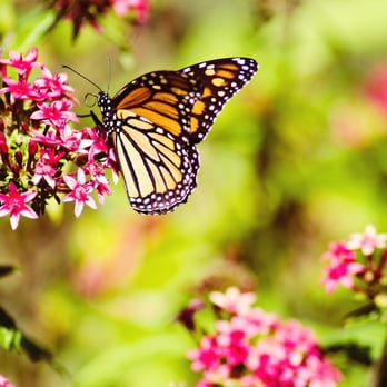 UM Laurel Medical Center - Summer time! - Medical Centers Near Me - Laurel, Maryland
