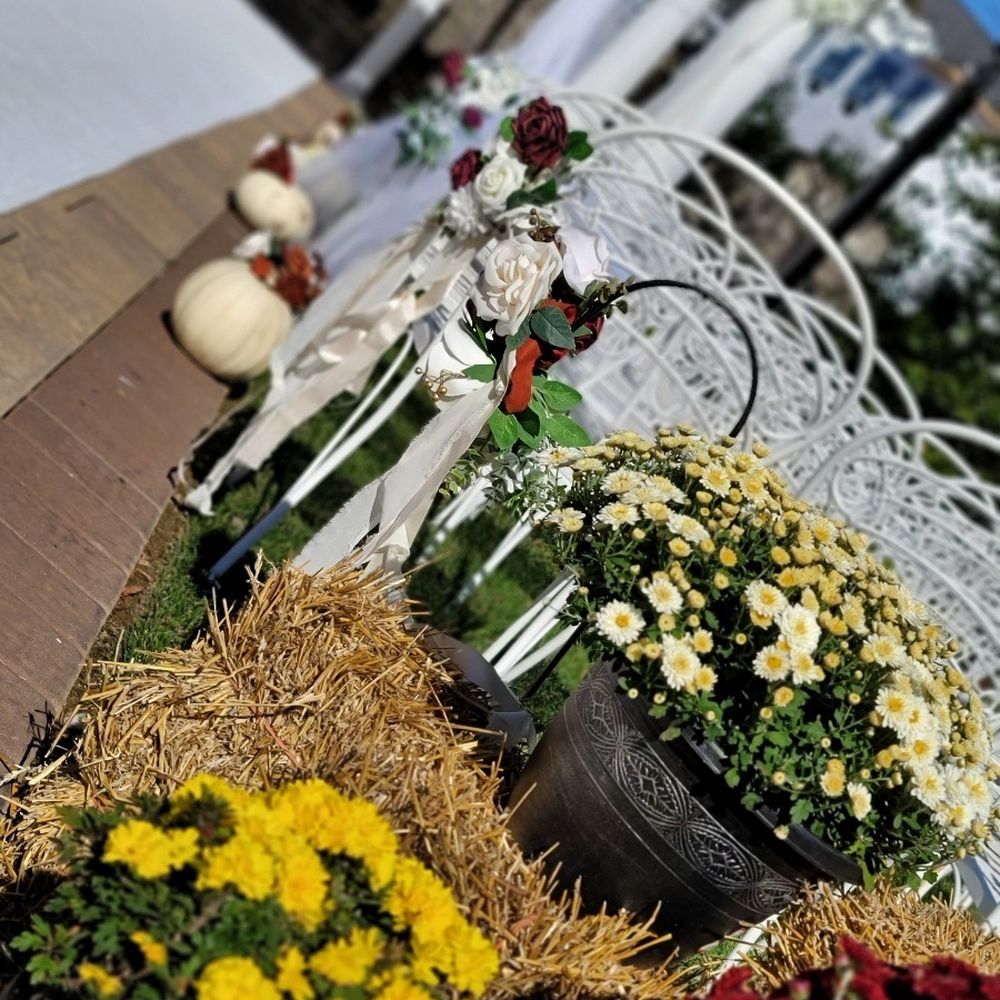 Mia Party Creation - Party & Event Planning Near Me - Seldon, New York