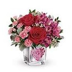 All Seasons Florist - Untitled