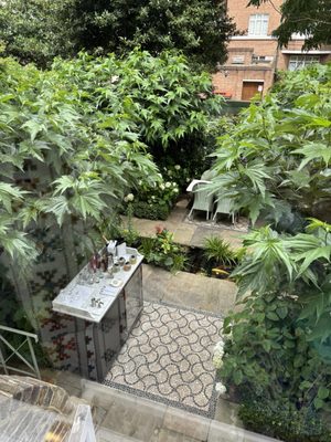 Number Sixteen by null