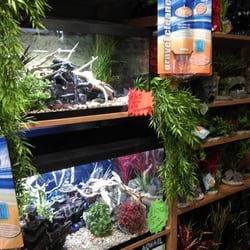 Amazon Aquatics