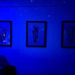 Gettys Muscle Therapy - Anatomy Wall Murals