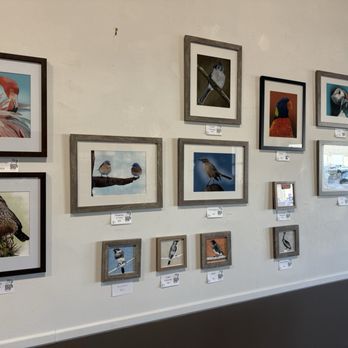 Union Place Coffee Roasters - Art on the walls - Coffee Roasteries Near Me - Rochester, New York Union Place Coffee Roasters - Art on the walls - Coffee Roasteries Near Me - Rochester, New York