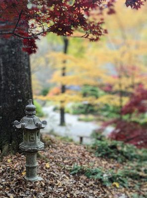Gibbs Gardens by null