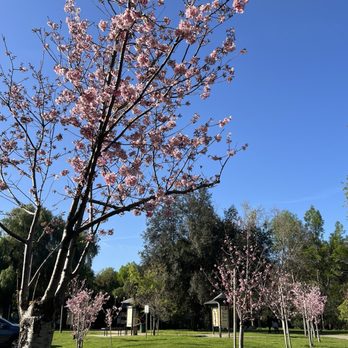 Schabarum Regional Park - Parks Near Me - Rowland Heights, California Schabarum Regional Park - Parks Near Me - Rowland Heights, California