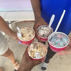 IRB Creamery - Pint Cup, Sea Turtle, Cookies & Cream, Cotton Candy