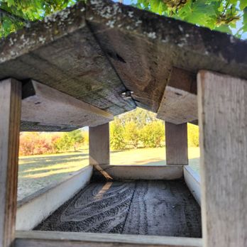 Bell's Orchard - Fruits & Veggies Near Me - Beaverton, Oregon