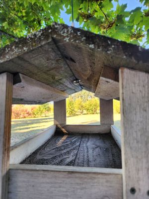 Bells Orchard by null