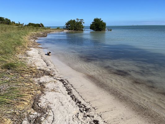 Curry Hammock State Park by null