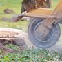 Photo of All American Landscape and Tree Services