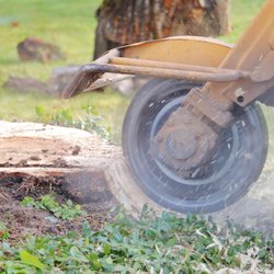 All American Landscape and Tree Services