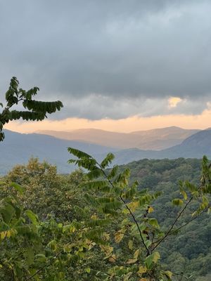 Wrong Way River Lodge & Cabins by null