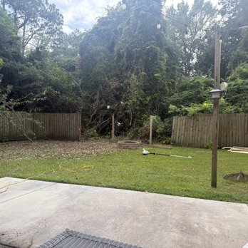 Cris Tree Service - Tree Services Near Me Cris Tree Service - Tree Services Near Me