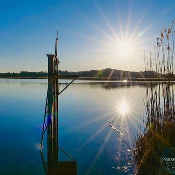 Maisinger See - Lakes Near Me - Pöcking, BY Maisinger See - Lakes Near Me - Pöcking, BY