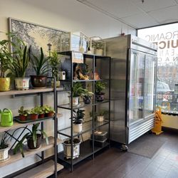 Organique Juice Bar