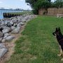 Mary Ann Nelson Park