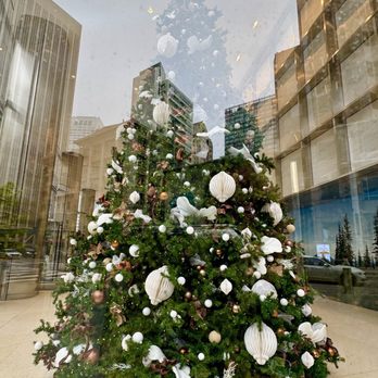 Salesforce Park - Salesforce office tree 12/7/25 - Parks Near Me - San Francisco, California Salesforce Park - Salesforce office tree 12/7/25 - Parks Near Me - San Francisco, California