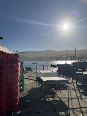 Tomales Bay Oyster Company by null