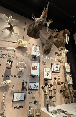 Burke Museum of Natural History and Culture by null Burke Museum of Natural History and Culture by null
