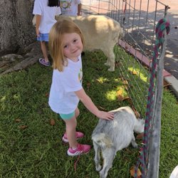 Heritage Montessori School of Huntington Beach - Camp Heritage Hoedown 2018